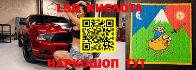 прущие грибы Краснокаменск