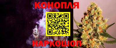 прущие грибы Краснознаменск