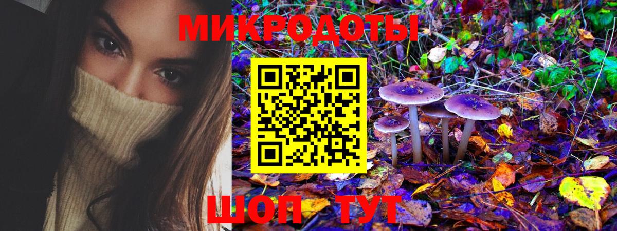 Галлюциногенные грибы прущие грибы Донской