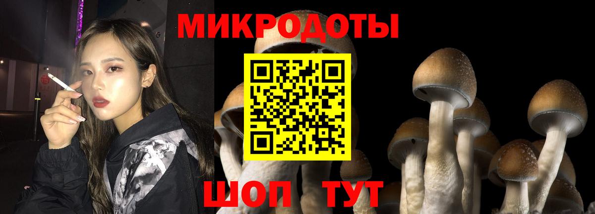 Донской  Галлюциногенные грибы мицелий  Псилоцибиновые грибы Magic Shrooms  Вход с VPN 
